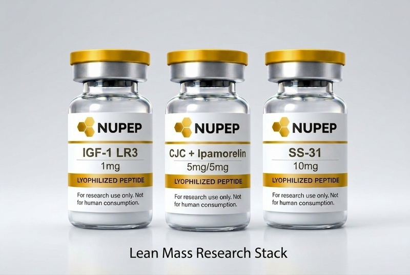 IGF Research Stack