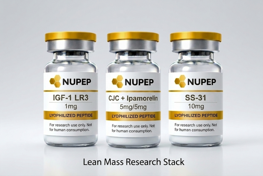 IGF Research Stack